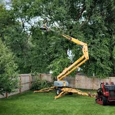 Best Commercial Tree Services  in Oaklyn, NJ